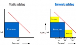 Dynamic Pricing and the Business of Psychotherapy